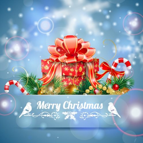 a beautiful wrapped gift box Christmas greeting card vector