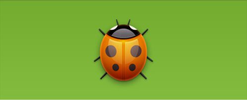 Bug Icon (Ladybug)